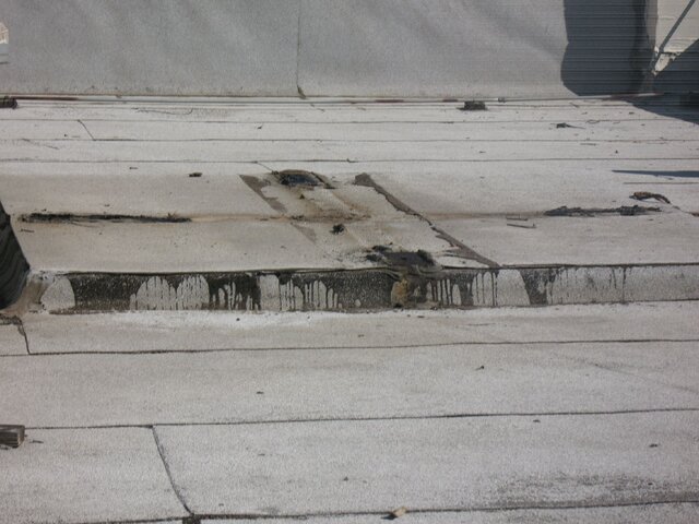 12ft Paraclipse removal 001.JPG