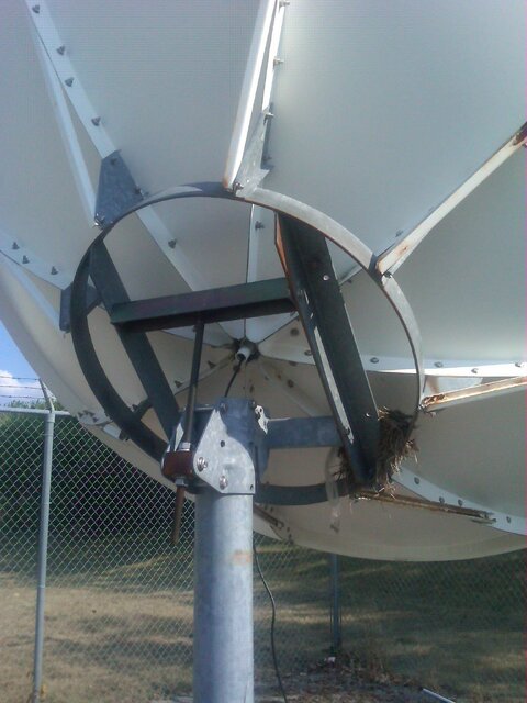 IMG-20120710-00031.jpg IMG-20120710-00031.jpg