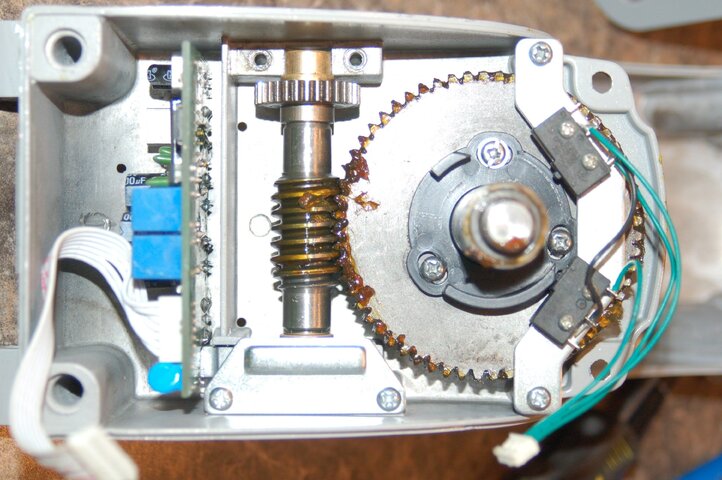 DSC_1203.JPG DSC_1203.JPG