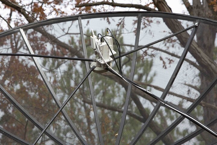 dish03.jpg