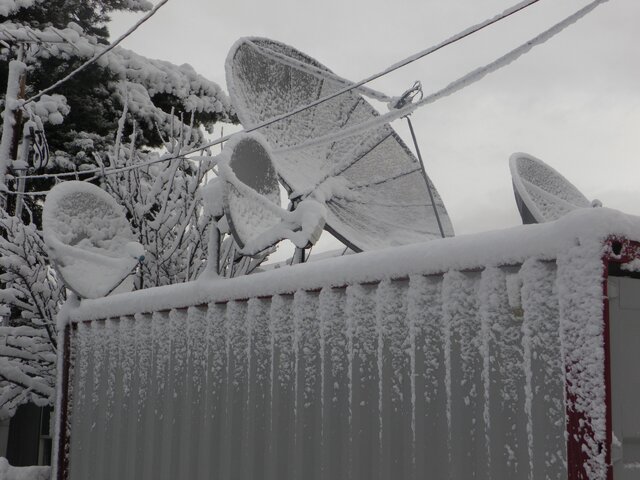 Snowdish 007.JPG Snowdish 007.JPG