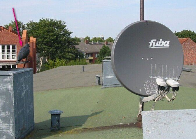 ???-????.jpg