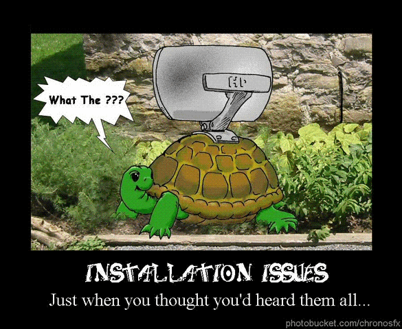TurtleDish.GIF