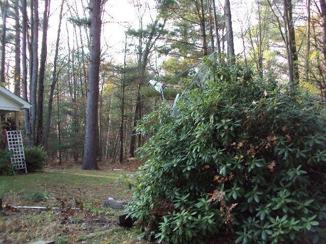 DSC01324.JPG