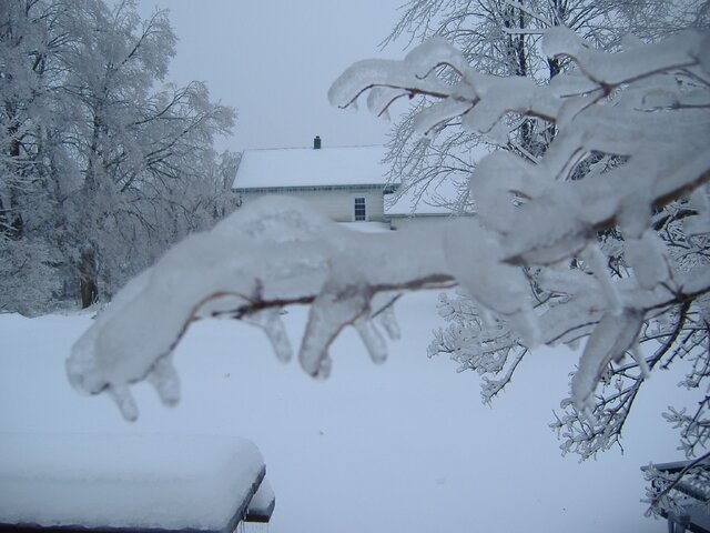 ice storm 13 2013-12-22 003.JPG