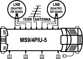 MS9_4PIU-5.gif MS9_4PIU-5.gif