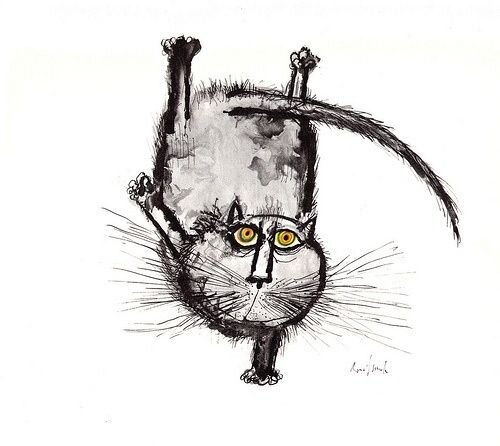 cat_handstand.jpg