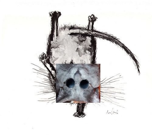 cat_handstand_cyber.jpg