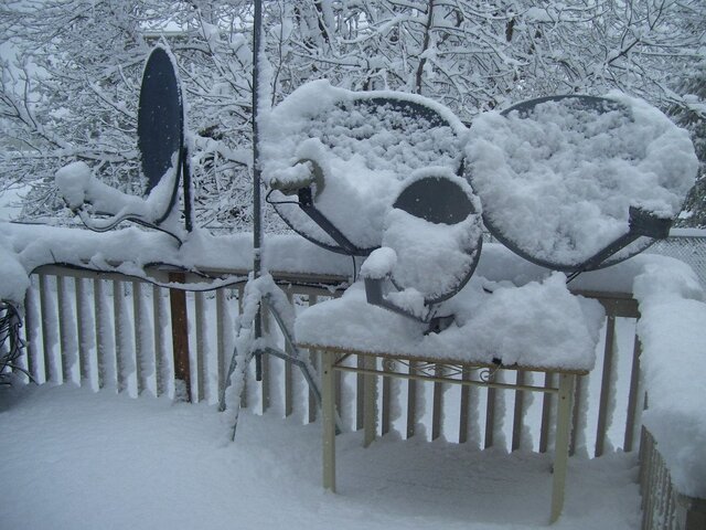 000_0404.jpg 000_0404.jpg
