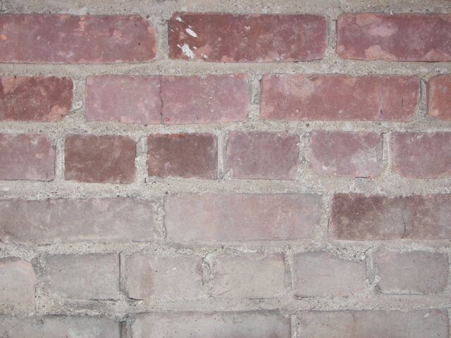 100_0559.JPG