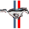mustangthom