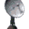 nuttz565