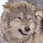 TimberWolf