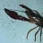 MrCrawdad